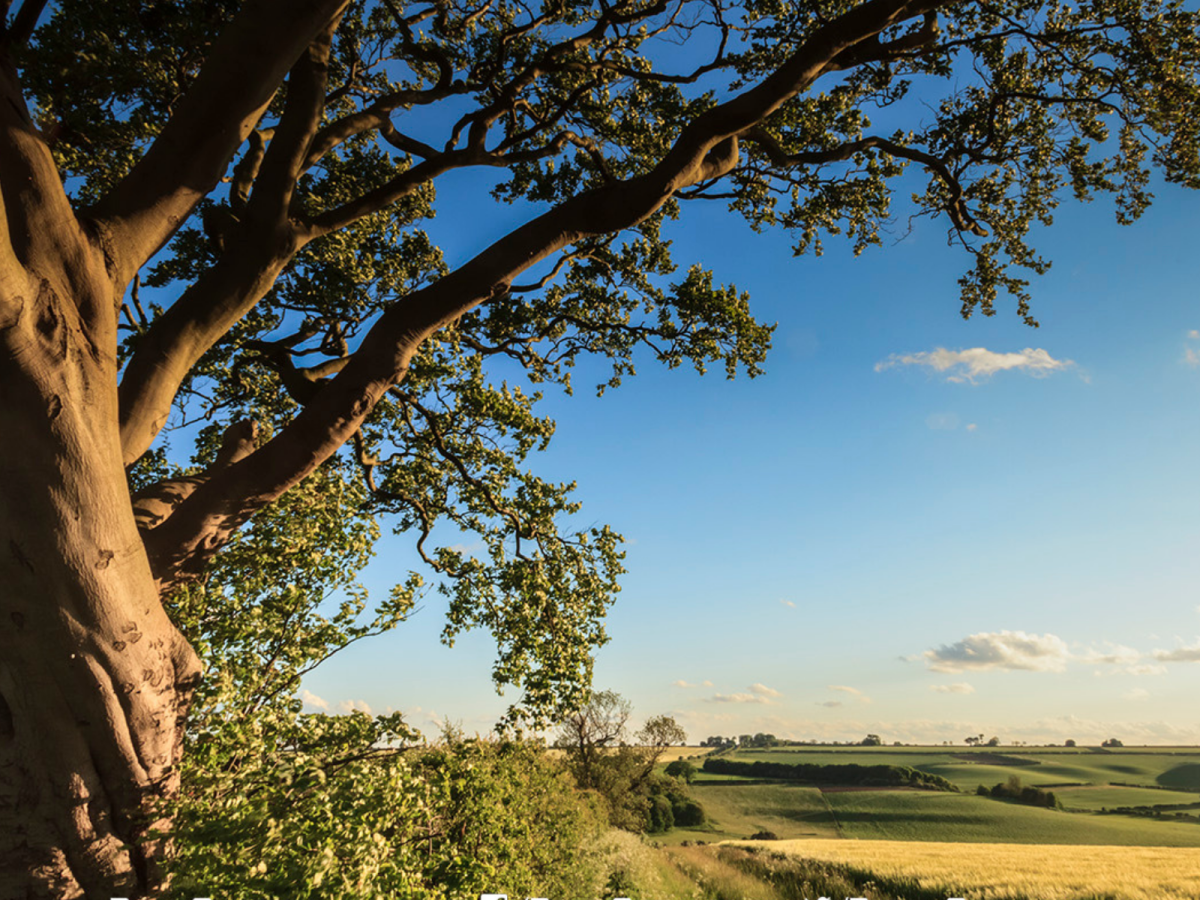 Creative Writing Workshop ‘The Craft of Fiction’ at Caistor Arts & Heritage Centre 17 May&nbsp;2024
