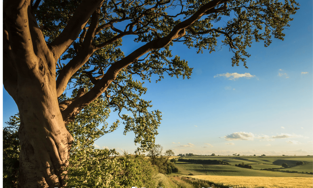 Creative Writing Workshop ‘The Craft of Fiction’ at Caistor Arts & Heritage Centre 17 May&nbsp;2024