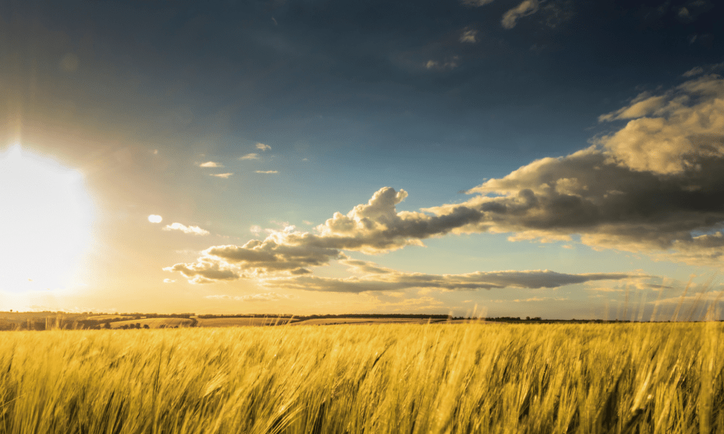 Gillian at the Louth Craft and Gift Fair 15th&nbsp;Oct.